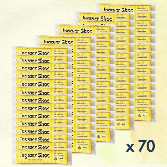 70 x Frozen Ingwer-Shot