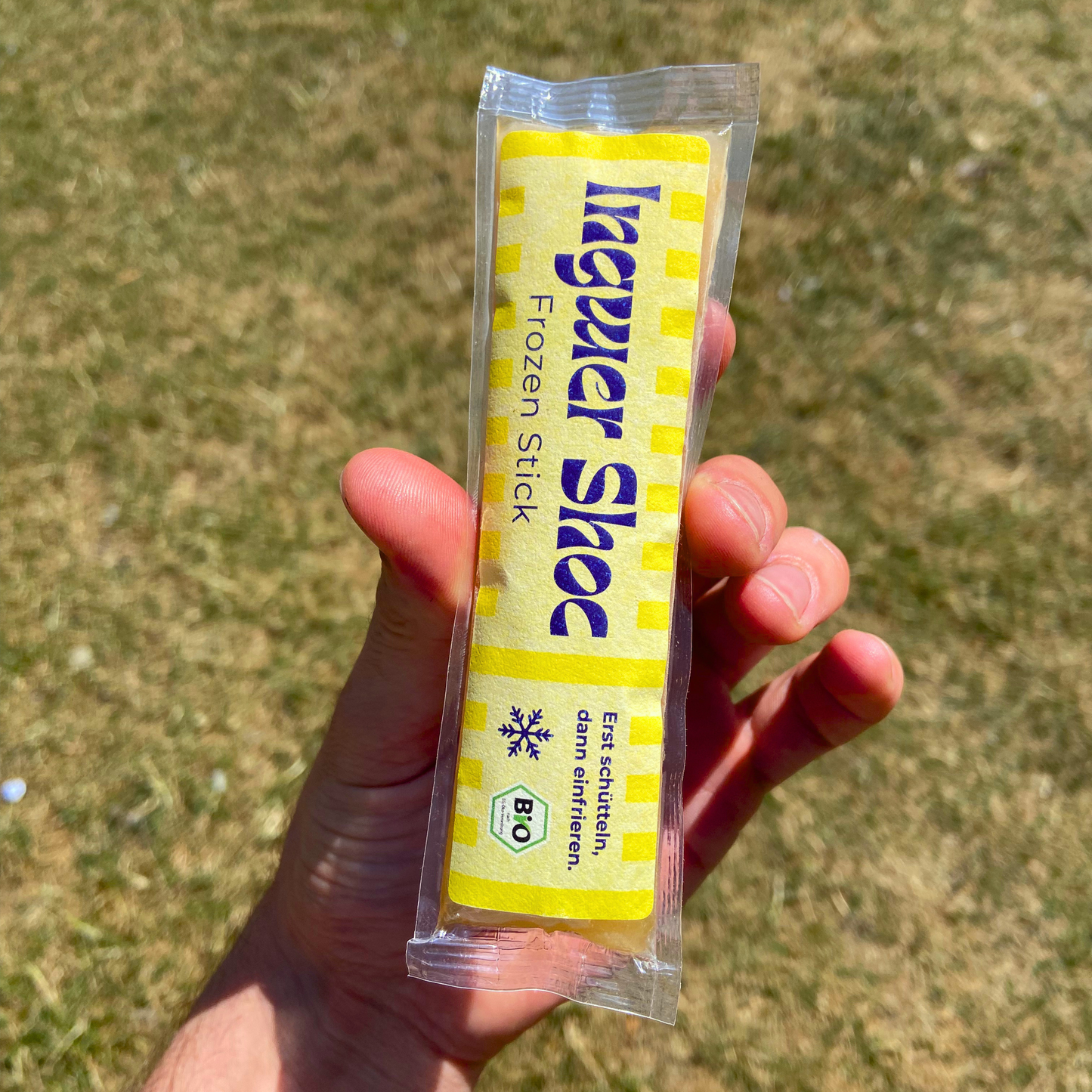 10 x Frozen Ingwer-Shot