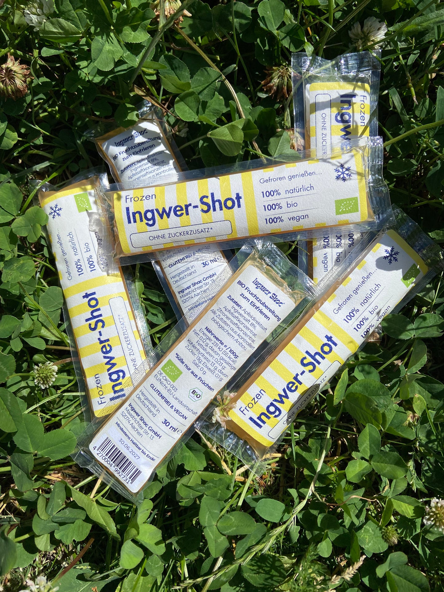 20x Frozen Ingwer-Shot
