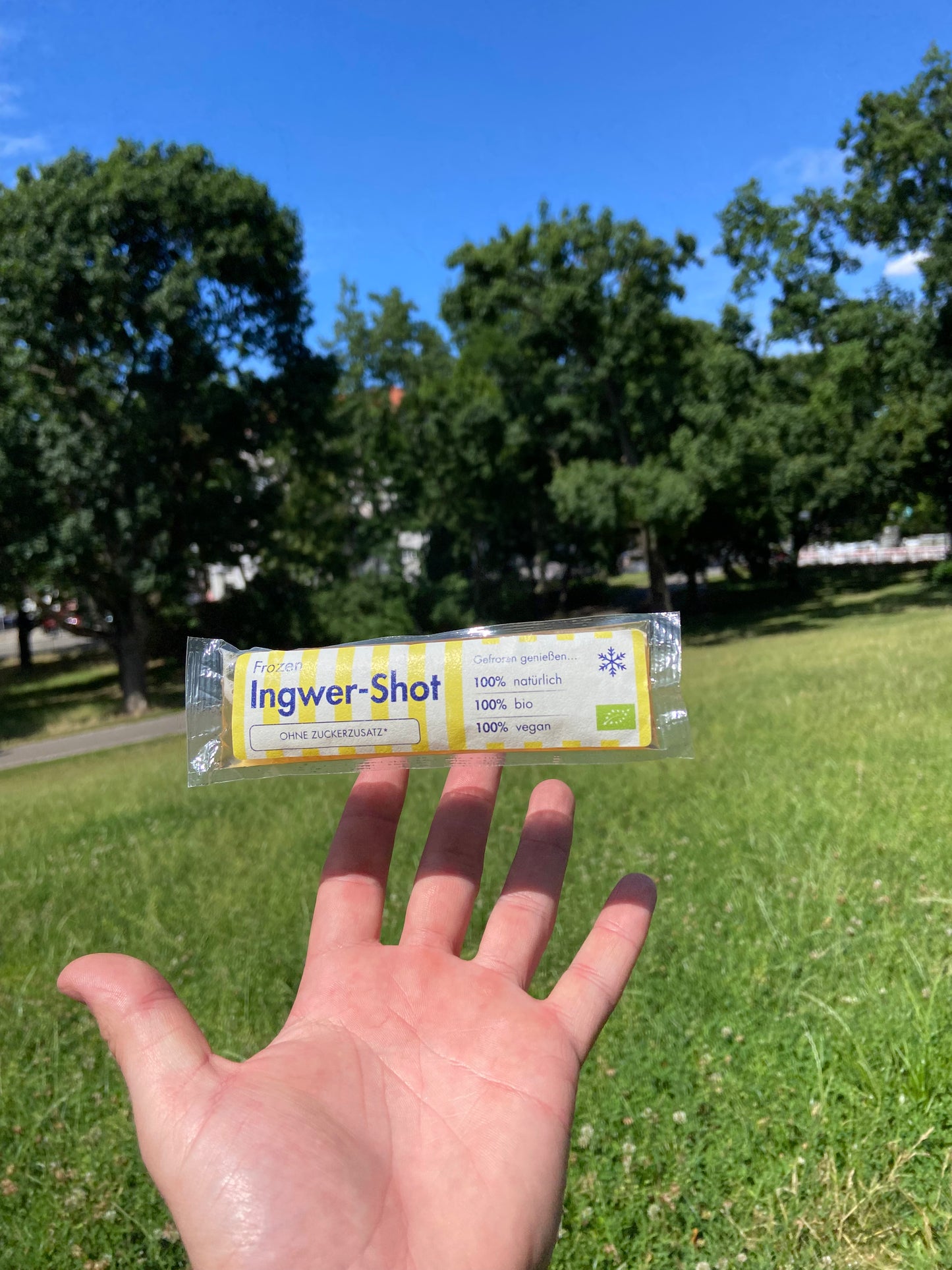 10 x Frozen Ingwer-Shot