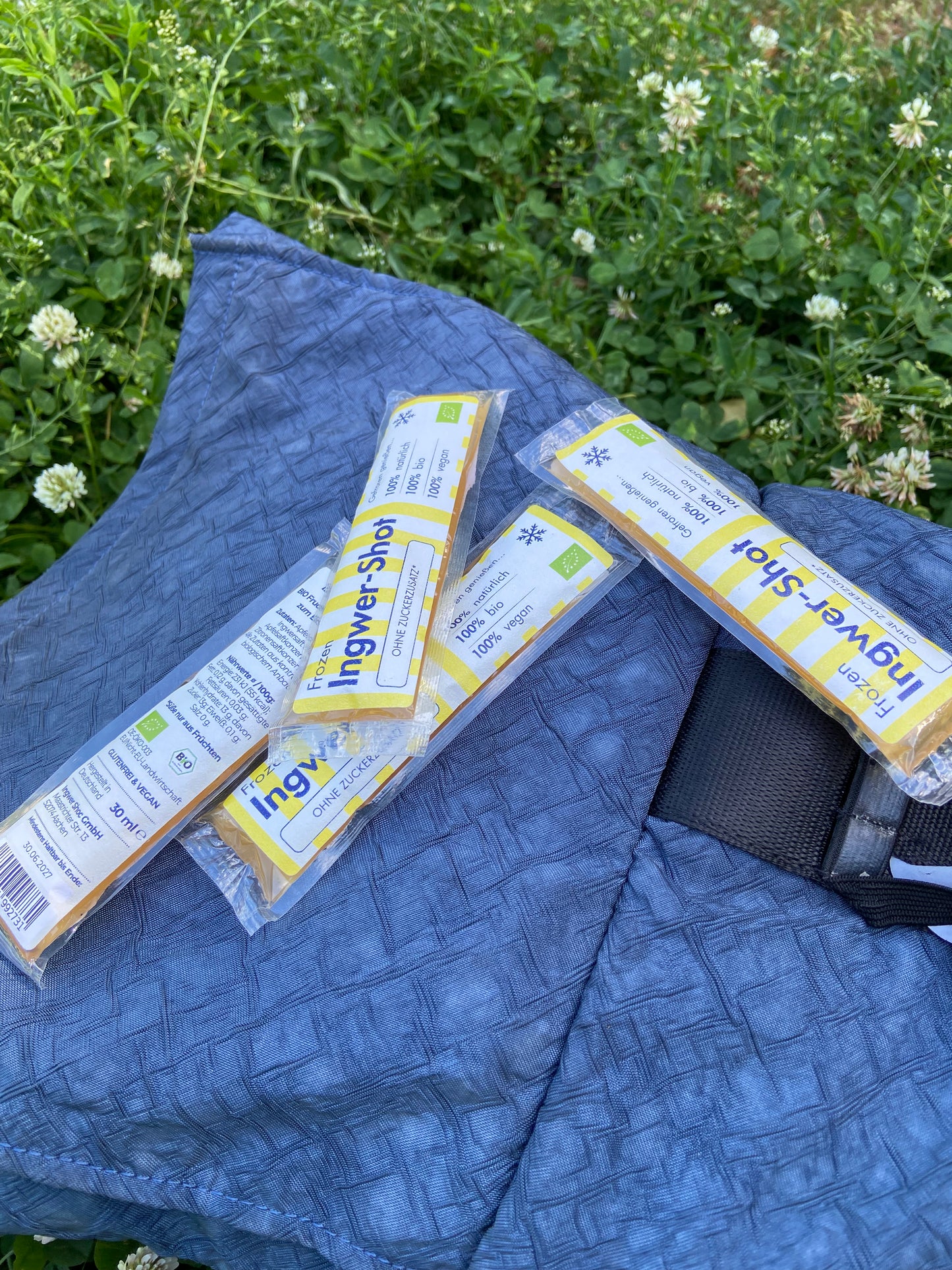 10 x Frozen Ingwer-Shot