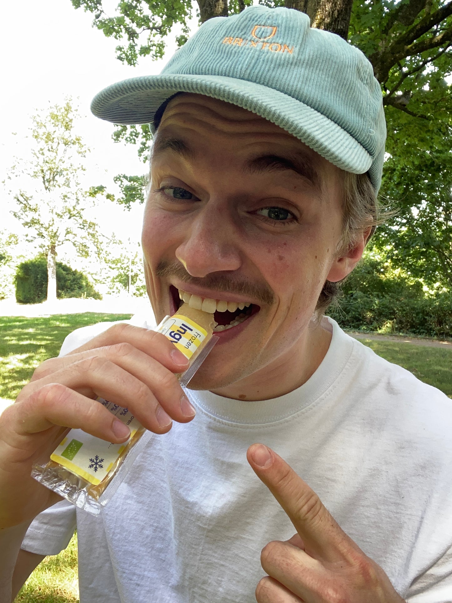 10 x Frozen Ingwer-Shot